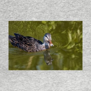 Curious Duck T-Shirt